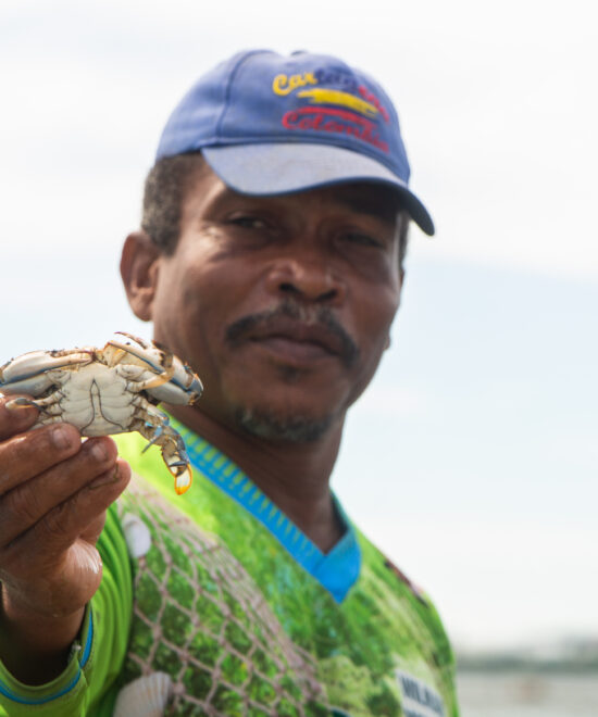 Manglares de Cartagena: Cultura Viva en La Boquilla